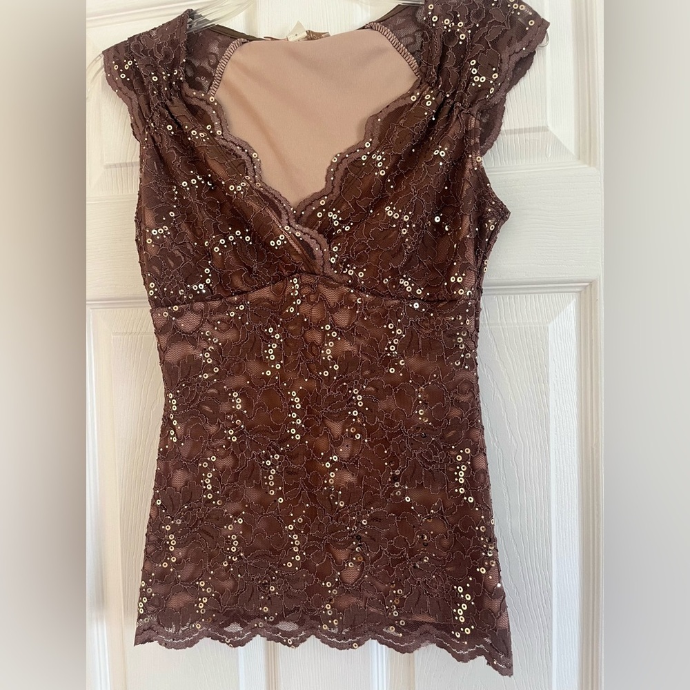 Boston Proper Shimmer Lace Blouse